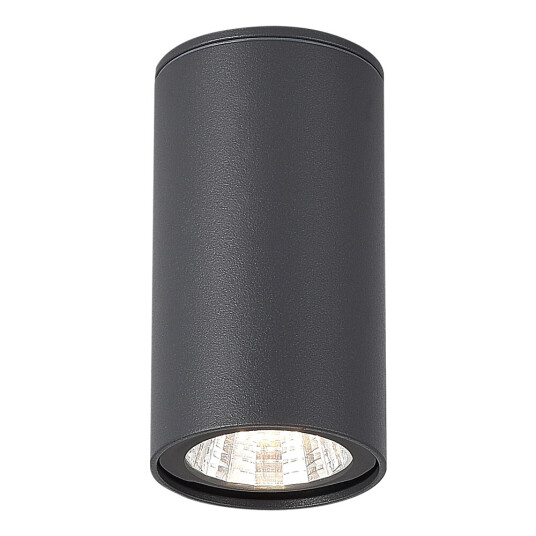 Фото SL9514.702.01 Светильник уличный потолочный ST-Luce серый/белый LED 1*7W 3000K TUBO