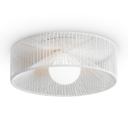 Фото Потолочный светильник Freya FR5405CL-01W