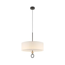 Фото Подвесной светильник Maytoni MOD437PL-05B