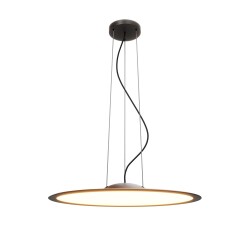 Фото Подвесной светильник Maytoni MOD471PL-L57BK