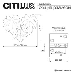 Фото CL305330 DRYAD Бра