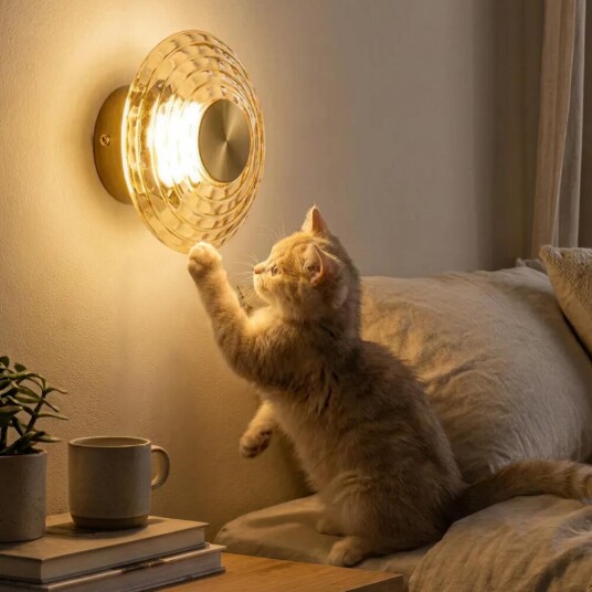 Фото CL240313 JANTAR Бра