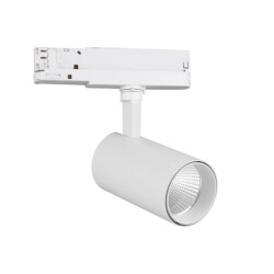 Фото 7202 Спот FUJI