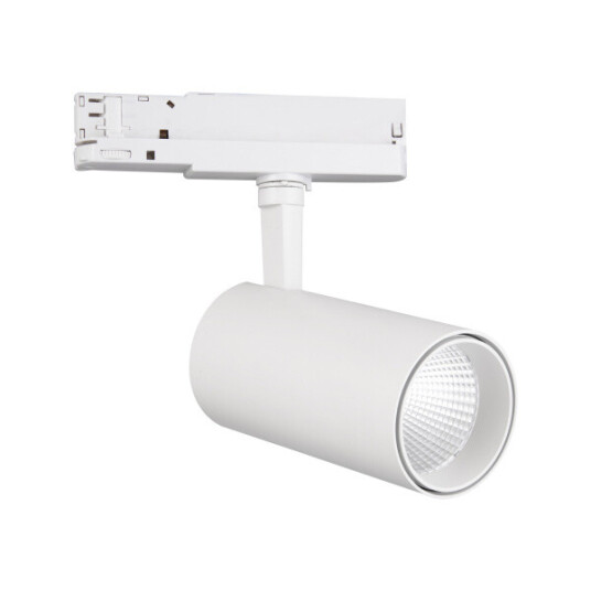 Фото 7207 Спот FUJI