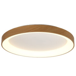 Фото 8586 Потолочный светильник NISEKO II