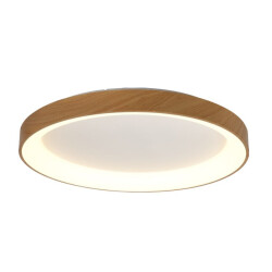 Фото 8587 Потолочный светильник NISEKO II