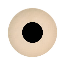 Фото 8011 Настенный светильник VENUS